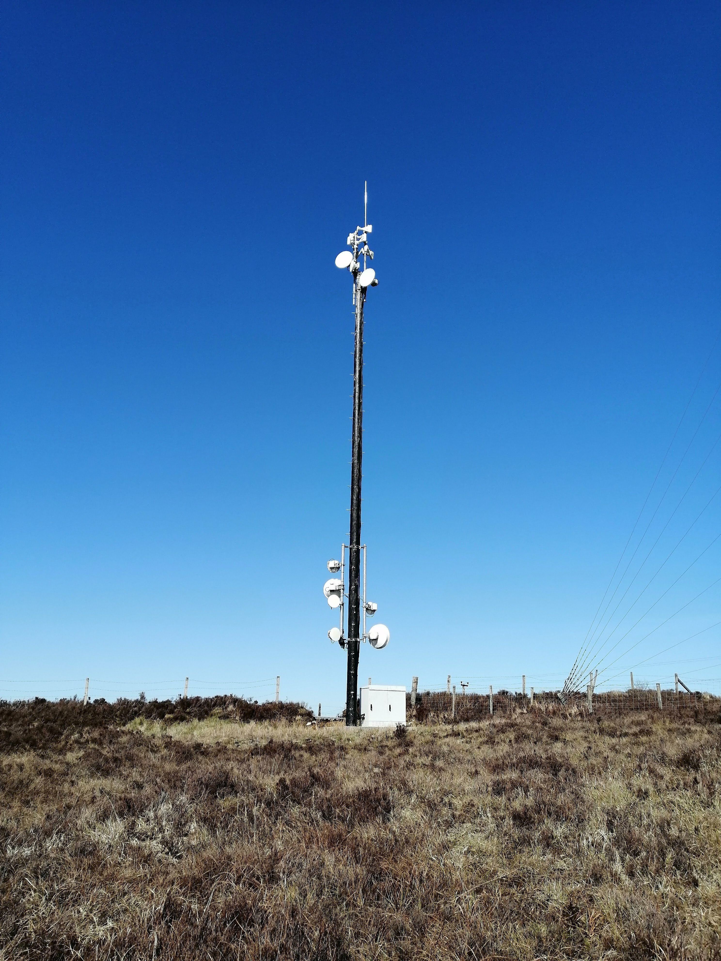 Wooden pole with about a dozen small microwave dishes. These are arranged in two clusters, top and bottom, pointing in all directions. At the very top there are some small 'horn' style antennas.