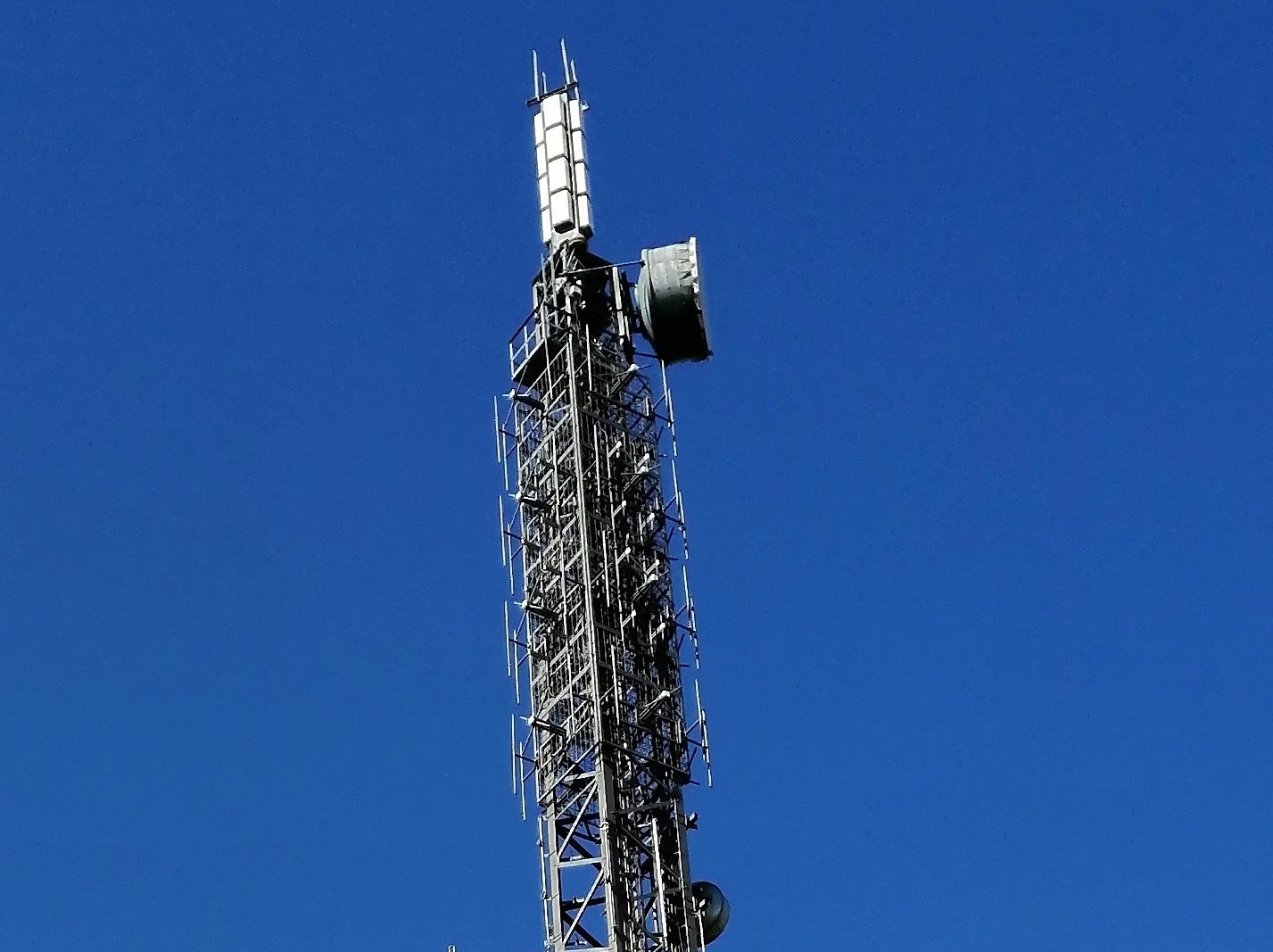 The DTT antenna looks like stacks of white plastic squares, four around the pole and four tall. The FM array looks like lots of metal elements arranged in a cross, with a metal mesh reflecter behind each.